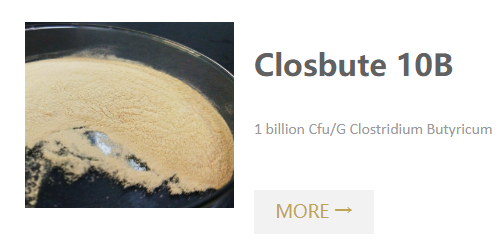 Closbute 10B- 1 billion cfu-g clostridium butyricum.png